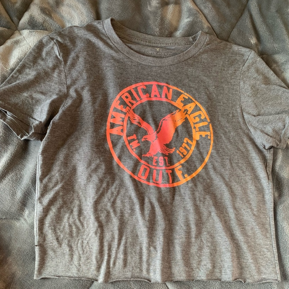 gray AE cropped tee w ombré logo